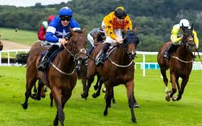 Jockeys in colorful uniforms racing horses on a grassy track.